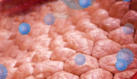 A depiction of less-inflamed tissue with fewer blue cells