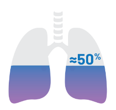 icon of lungs showing 50% filled capacity